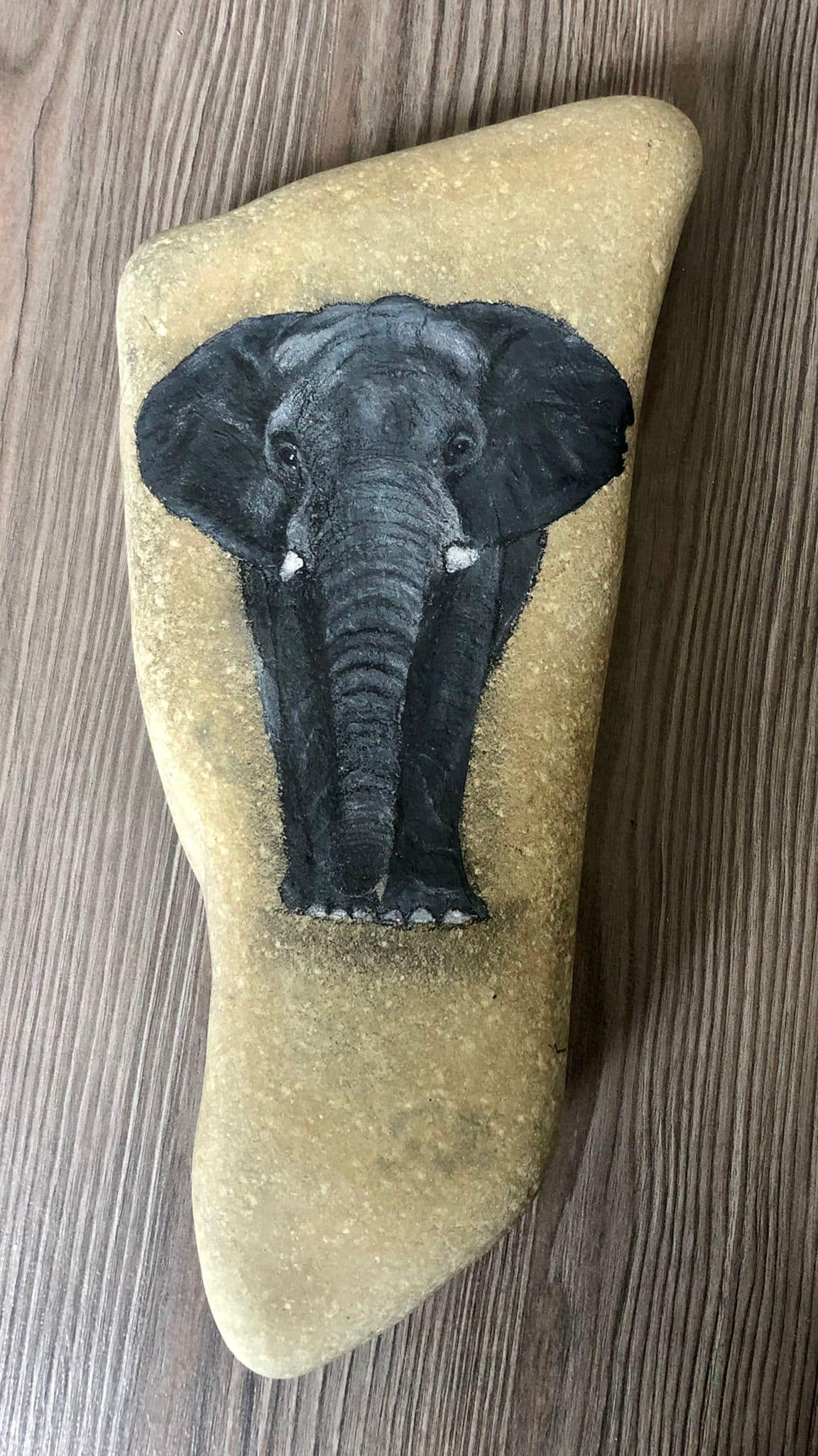 Tier Traum - Tierportrait - Elefant auf Stein gemalt