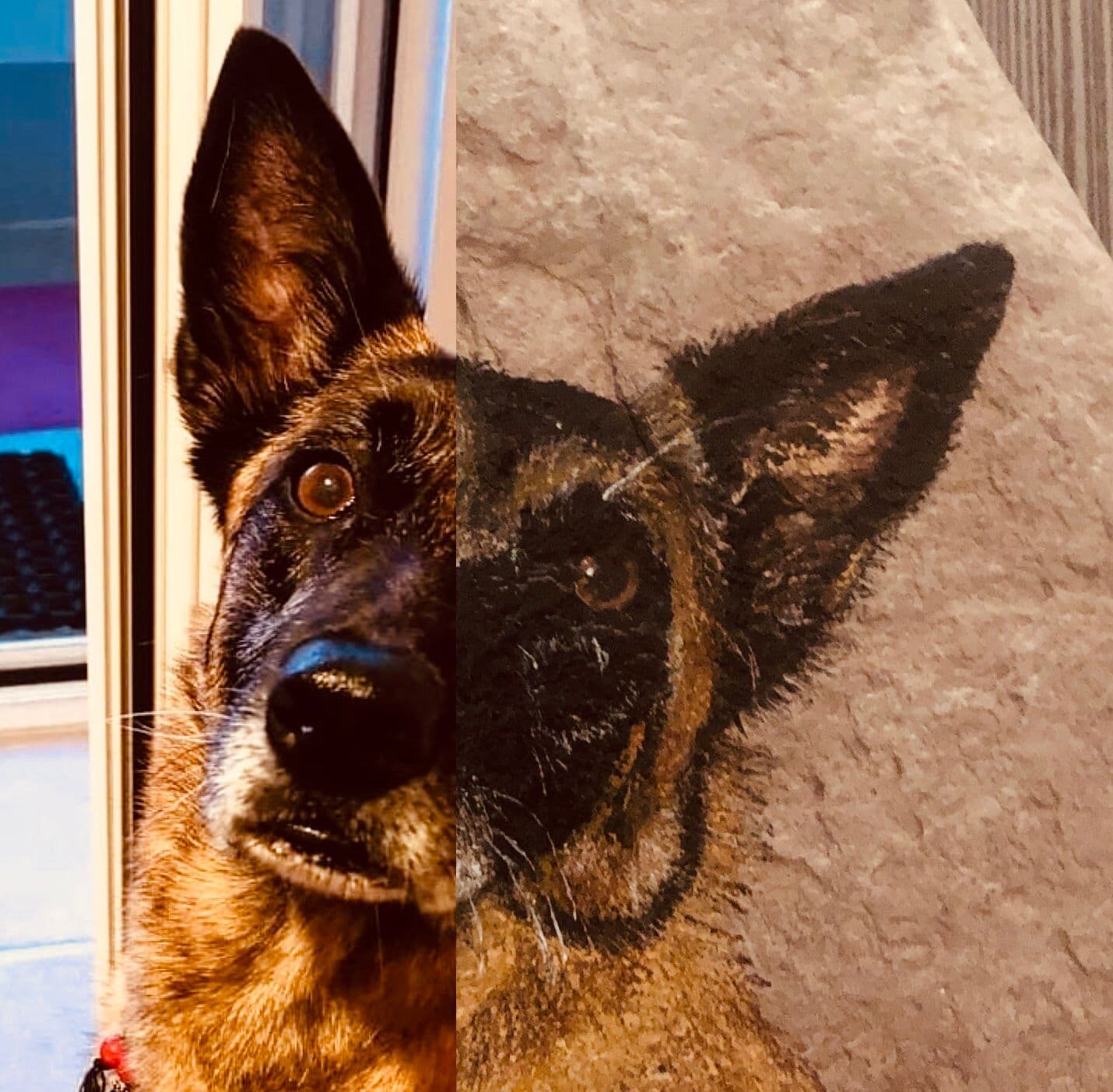 Tier Traum - Tierportrait - Hund auf Stein gemalt