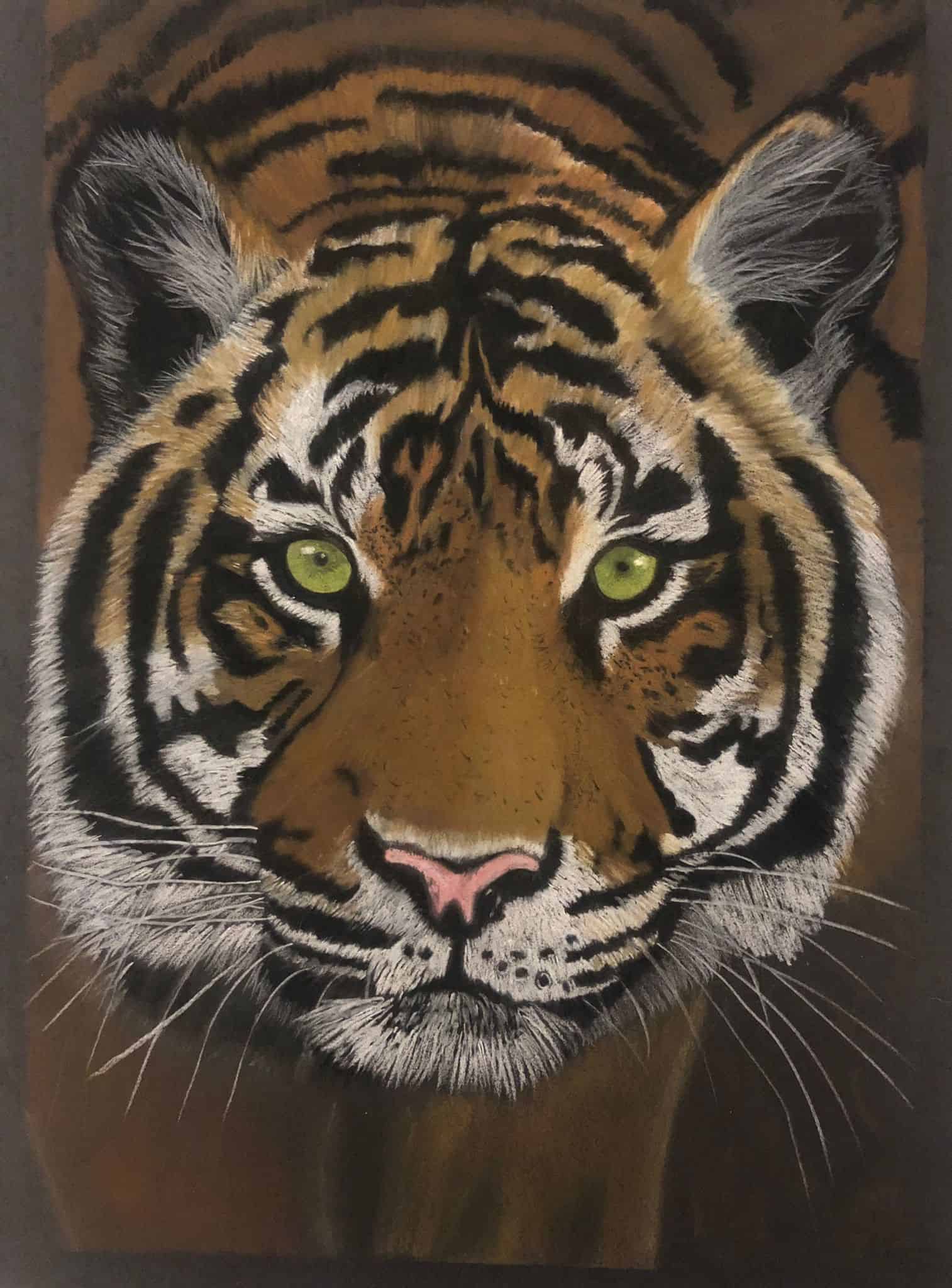 Tier Traum - Tierportrait - Krafttier Tiger